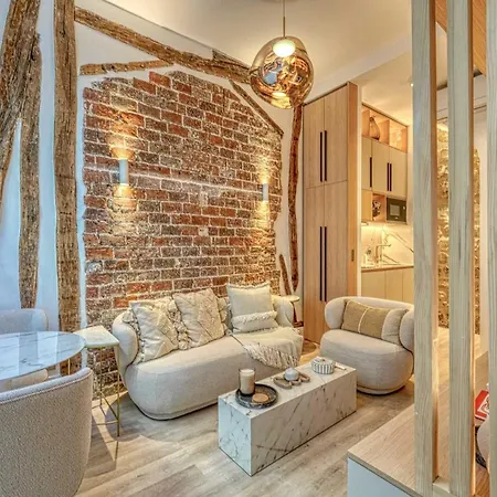Historic Loft By Architect, Near Louvre