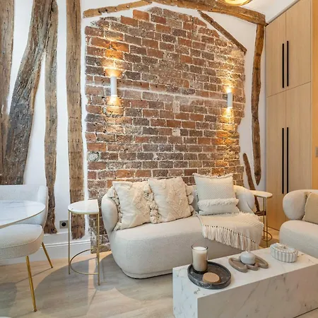 Historic Loft By Architect, Near Louvre *