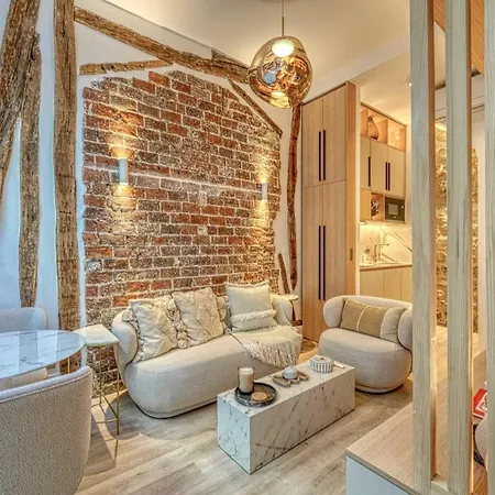Historic Loft By Architect, Near Louvre